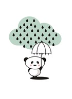 panda in the rain